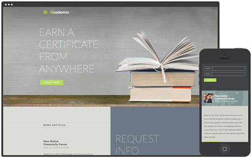 Desarrollo página web